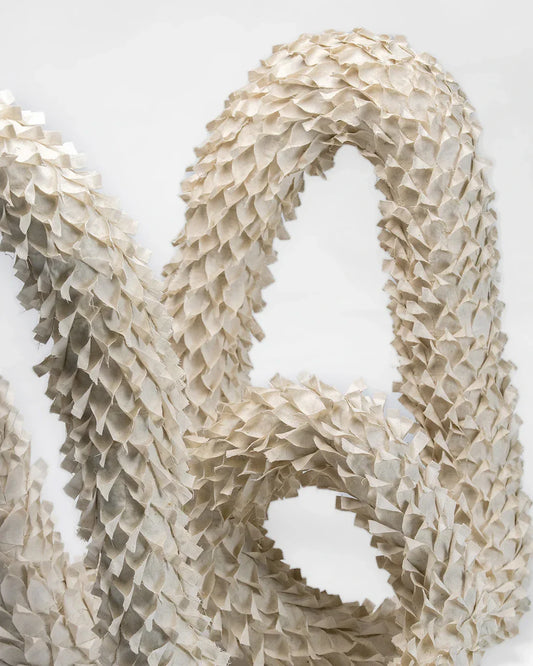 ICONIC, On singularity