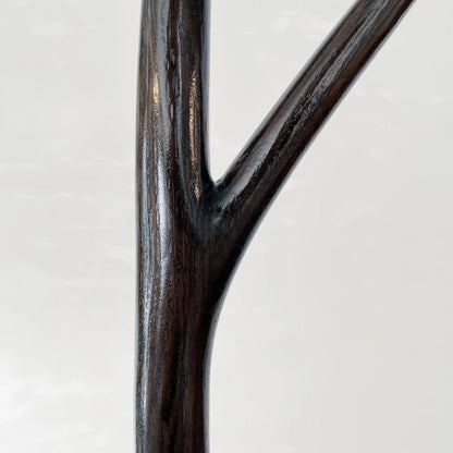 Detail of the dark glossy wood grain and curved branch of the Winter Tree coat stand by Antony Gasnier