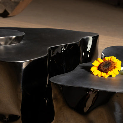 Grand Canyon Coffee Table