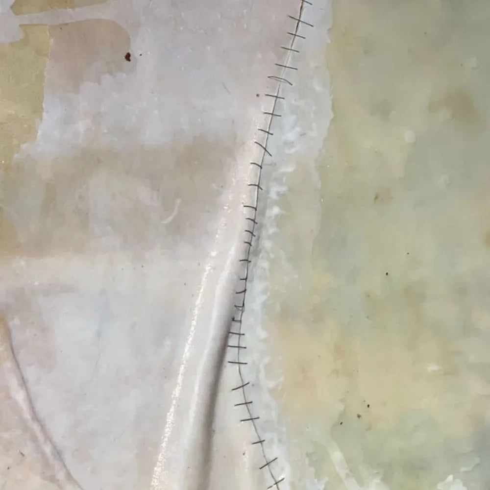 Phantom : Rawhide table