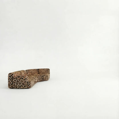 Arc No.01